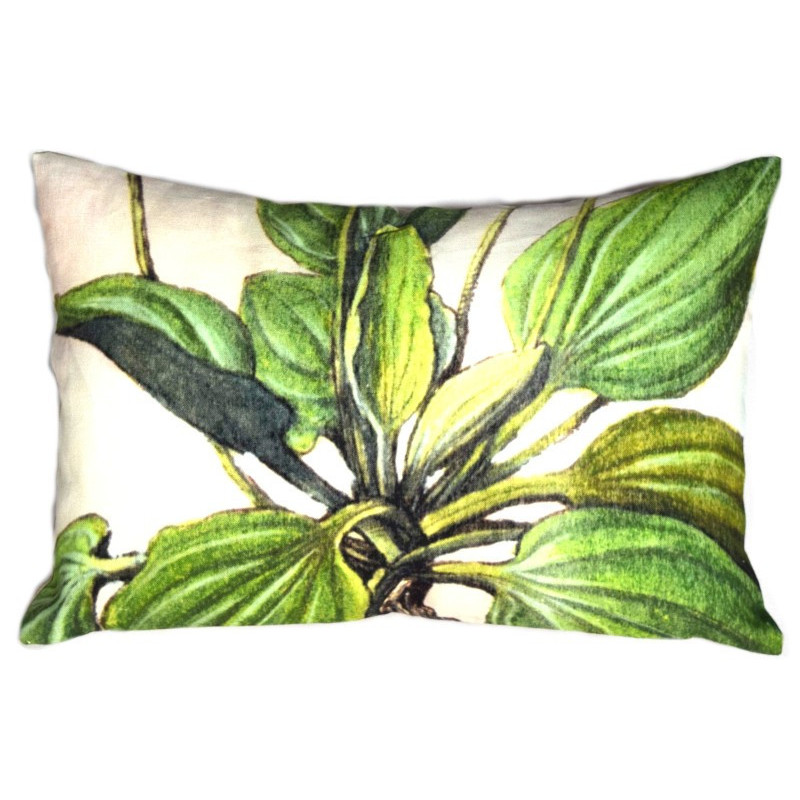 Au bonheur des oiseaux : collection LIN herbier ancien