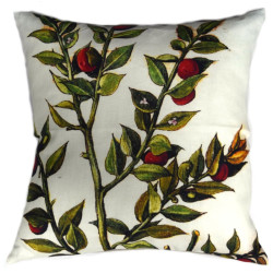 Baies rouges sauvages : collection LIN herbier ancien