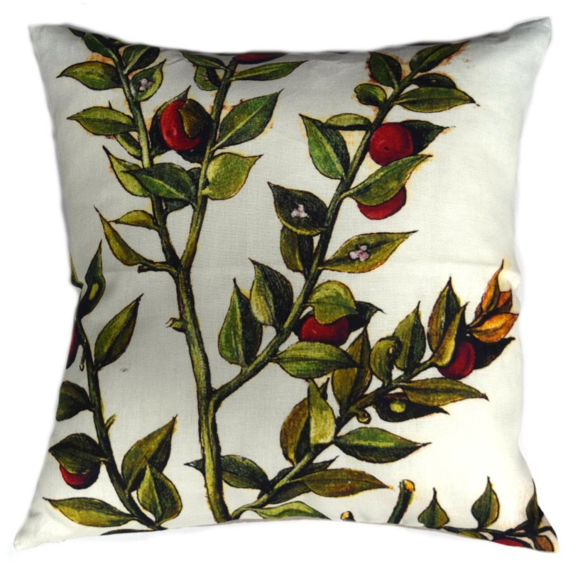 Baies rouges sauvages : collection LIN herbier ancien