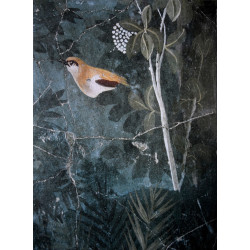 Oiseau sur sa branche