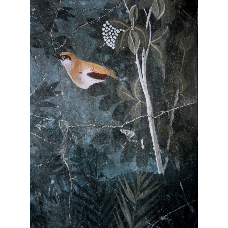 Oiseau sur sa branche