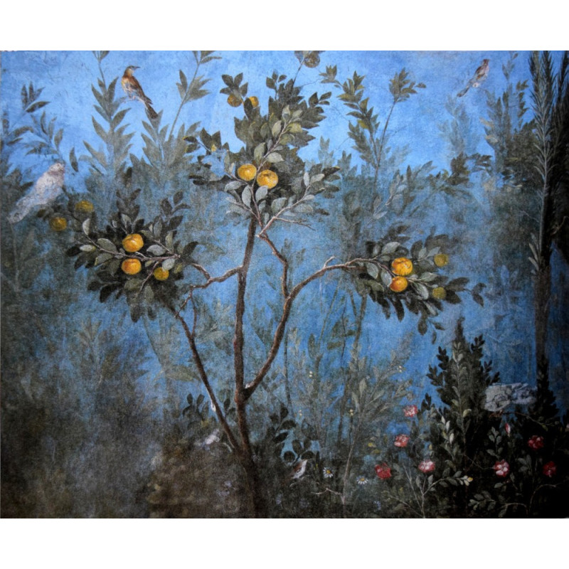 Scolopendre officinal : collection LIN herbier ancien