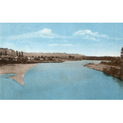 Oiseau dans un pommier