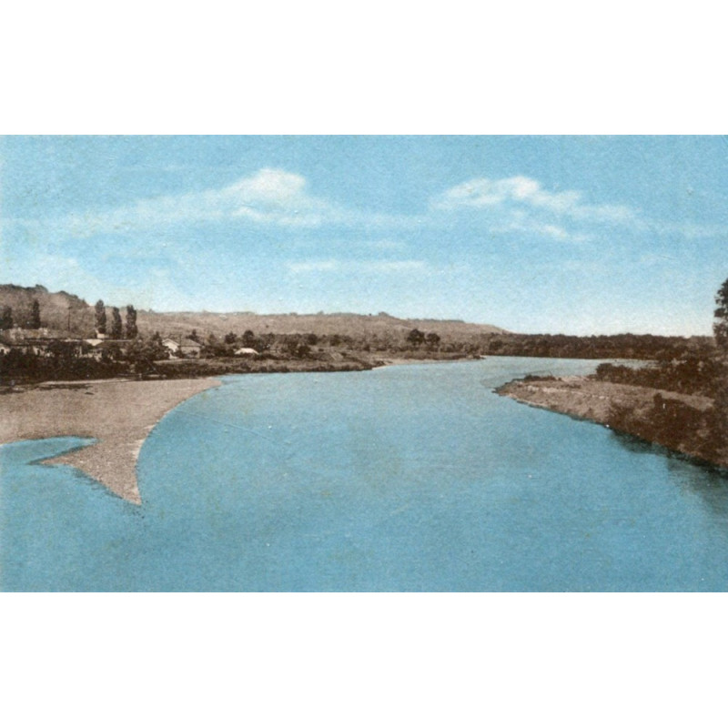 Oiseau dans un pommier