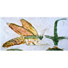 Libellule sur son nénuphar collection LIN fresque antique