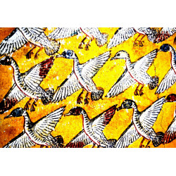 Libellule sur son nénuphar collection LIN fresque antique