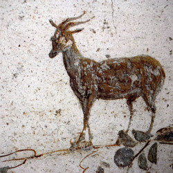 Libellule sur son nénuphar collection LIN fresque antique