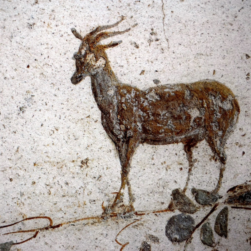 Libellule sur son nénuphar collection LIN fresque antique