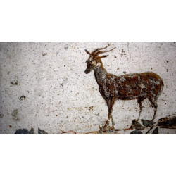 Libellule sur son nénuphar collection LIN fresque antique