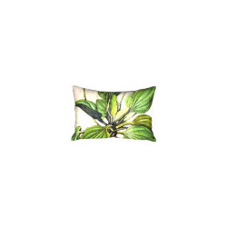 Au bonheur des oiseaux : collection LIN herbier ancien