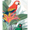 Perroquet Rouge