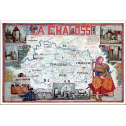 La plus grande forêt d'Europe : COLLECTION LIN LANDES CHALOSSE TURSAN