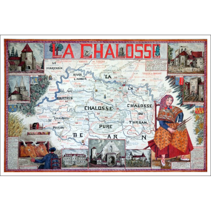 La plus grande forêt d'Europe : COLLECTION LIN LANDES CHALOSSE TURSAN
