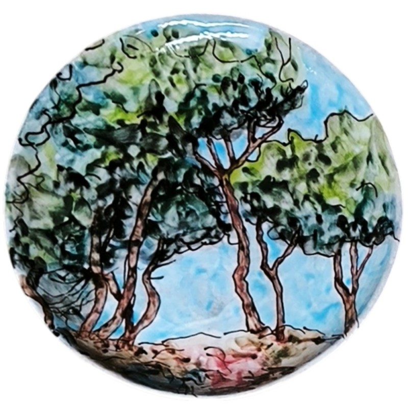 Pins des Calanques
