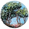 Pins des Calanques